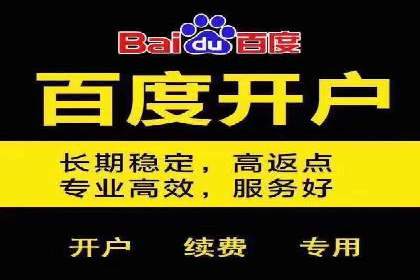 百度推广运营成功案例：行业领先企业的秘诀