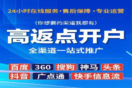 百度广告投放策略与效果评估案例